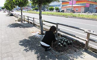 古津賀国道花の会 花植えに参加①